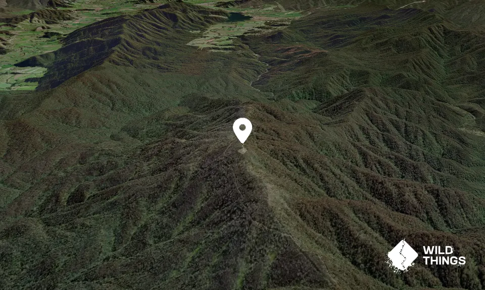 Mount Youngal