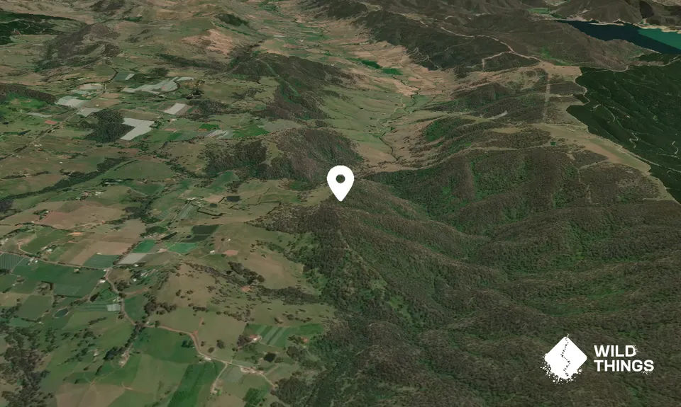 Big Stringybark Mountain