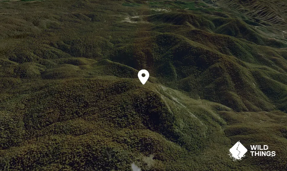 Black Bottle Mountain