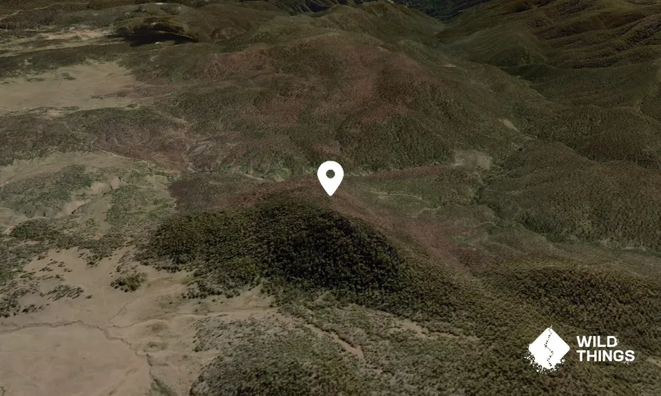 Black Mountain