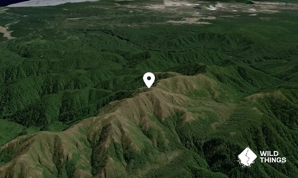 Ngapuketurua
