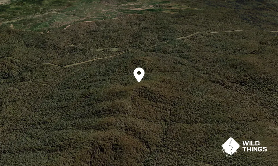 Dubbo Hill