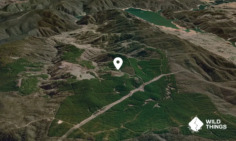 Goodradigbee Hill