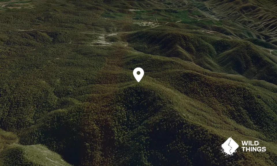 Mount Bramina