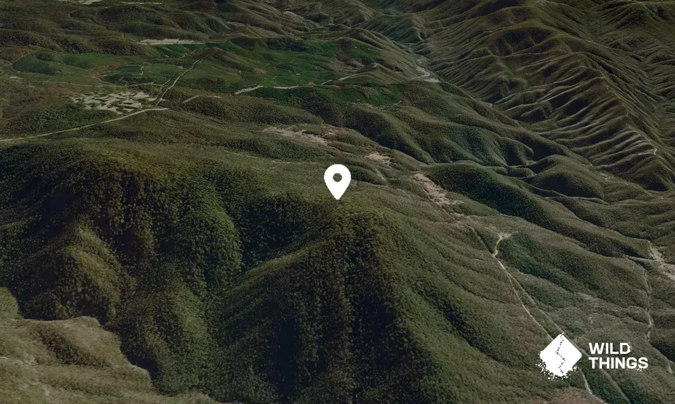 Mount Lickhole
