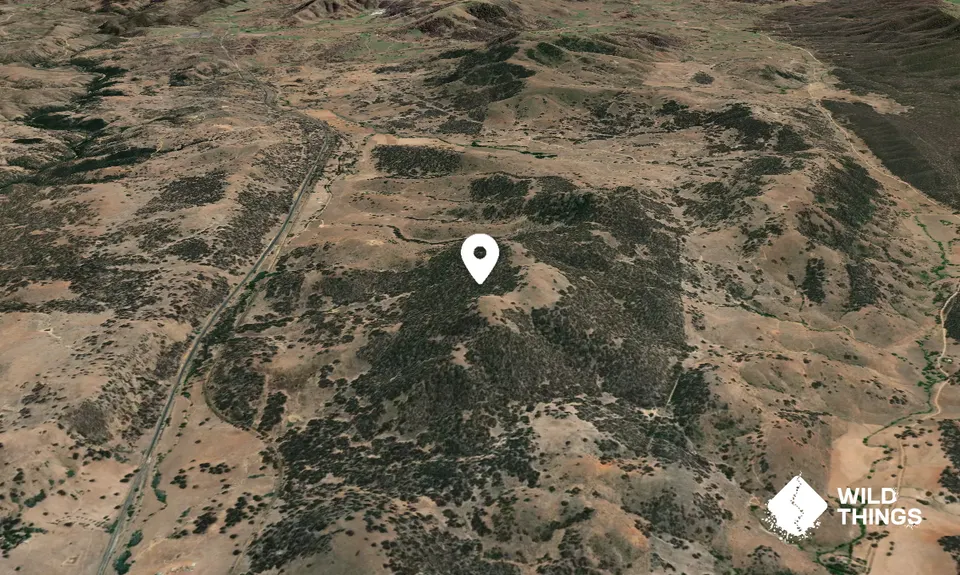 Mount Michelago