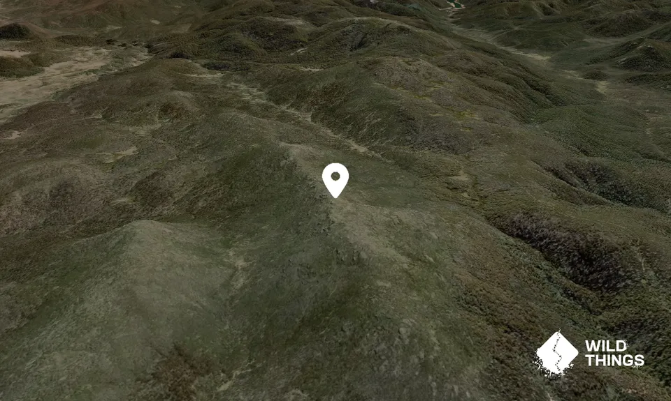 Mount Morgan
