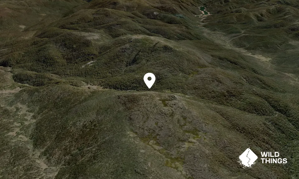 Mount Murray