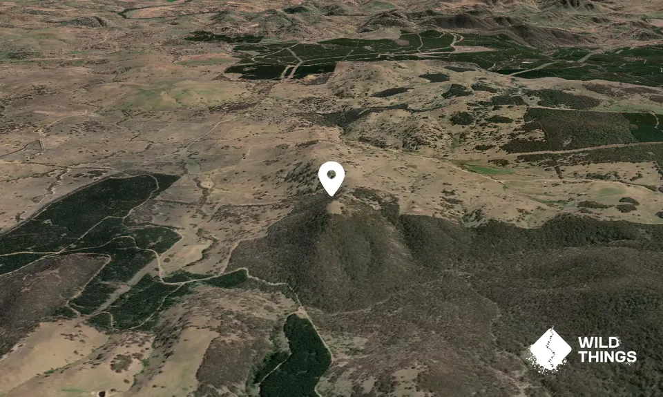 Parson Mountain