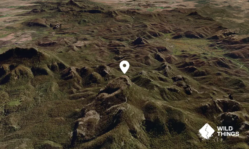 Bluff Mountain