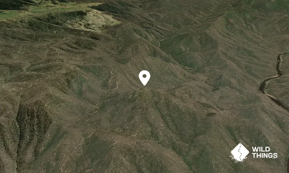 Bald Peak