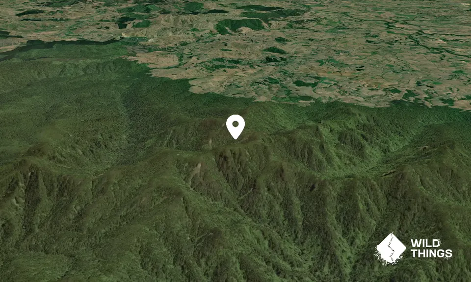 Pirongia