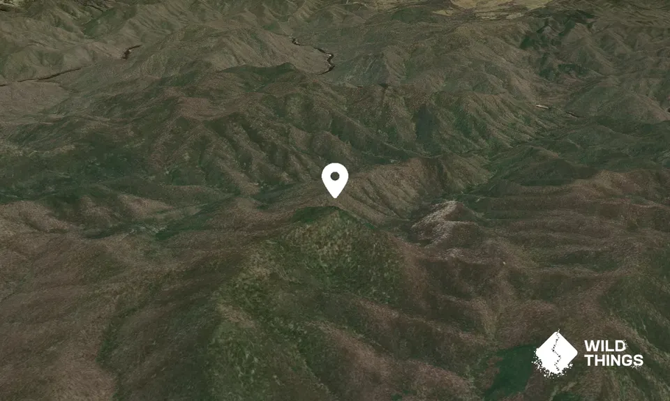 Black Jack Mountain