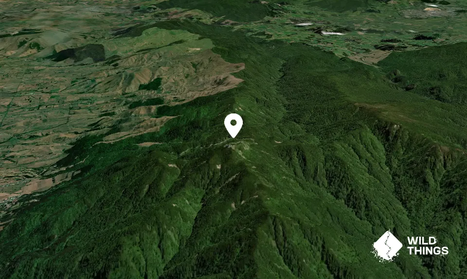 Te Aroha