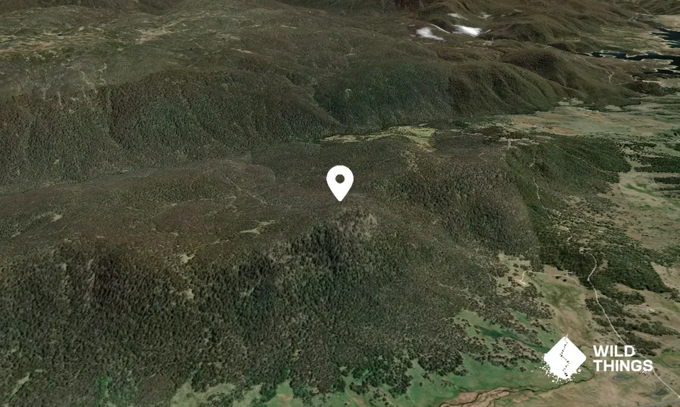 Crackenback Peak