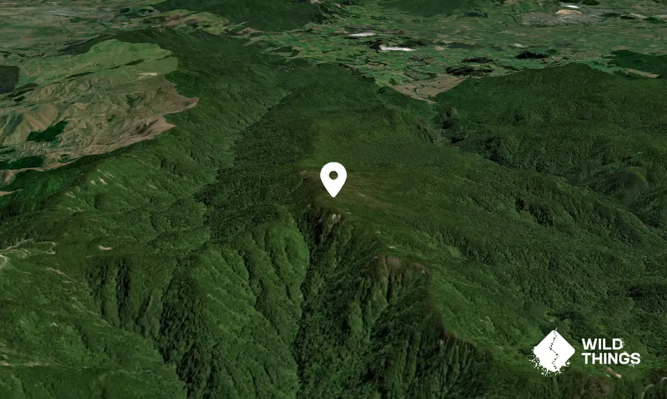 Pukekohatu