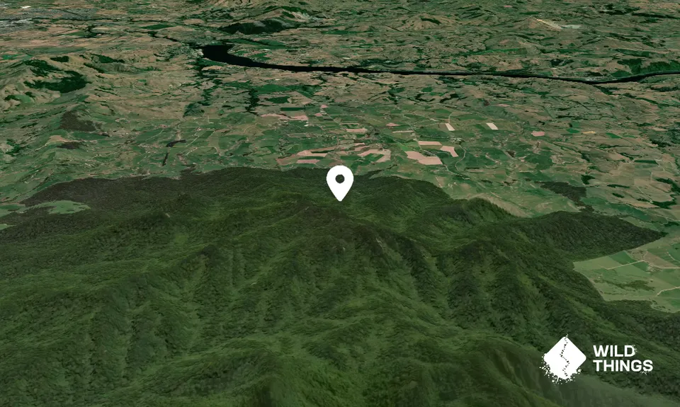 Maungatautari