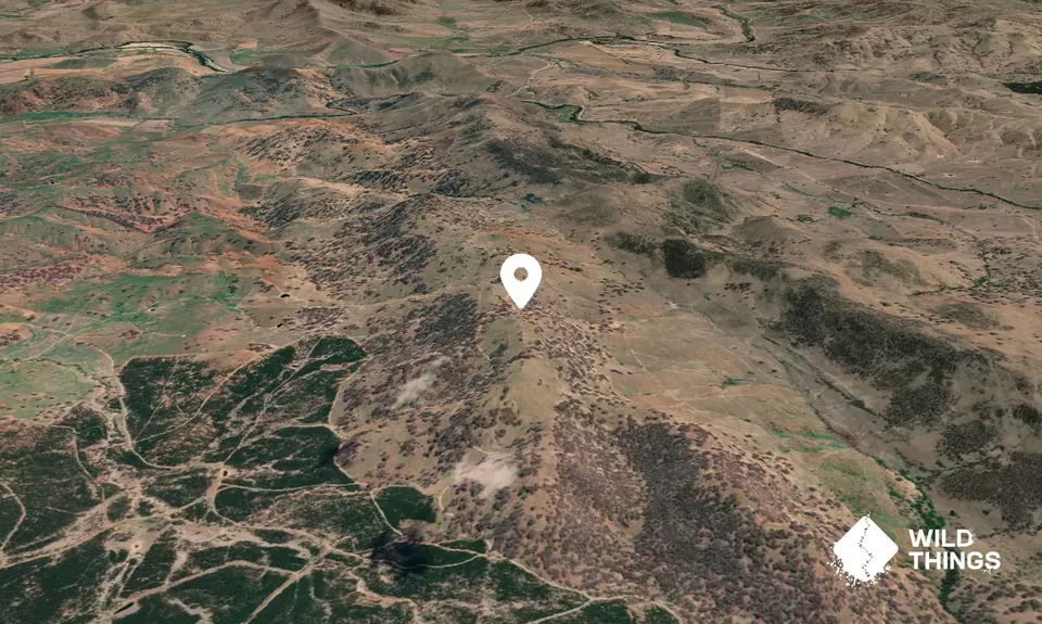 Kangaroo Mountain