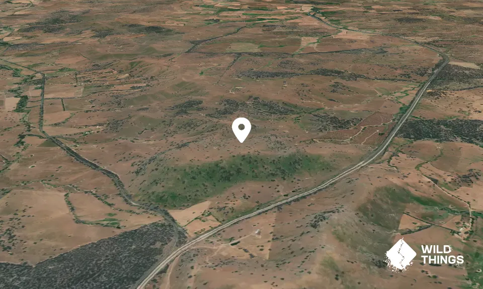 Kilgowla Mountain