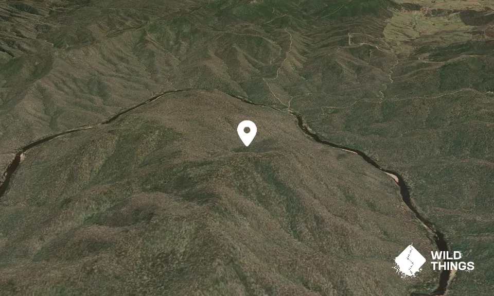 Milligans Mountain