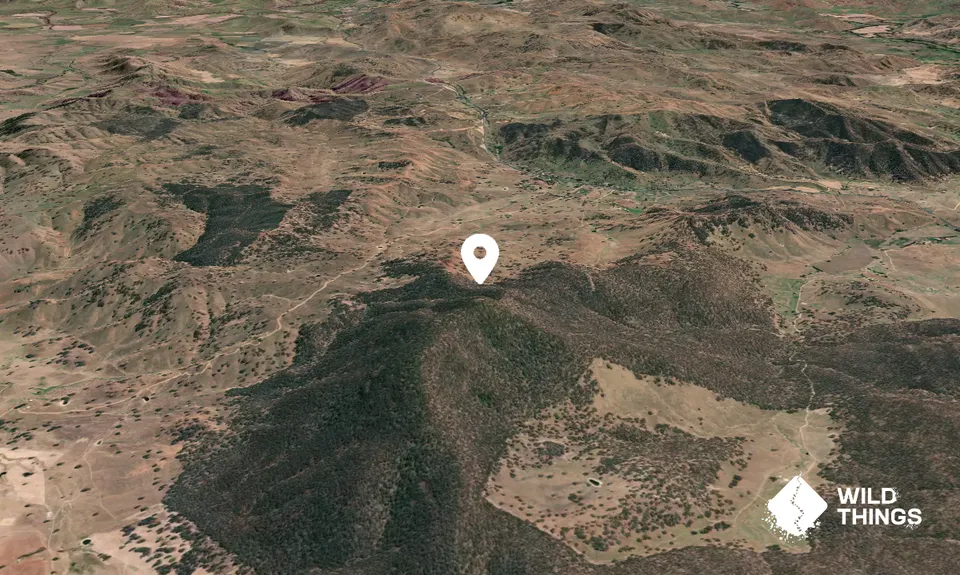 Minjary Mountain