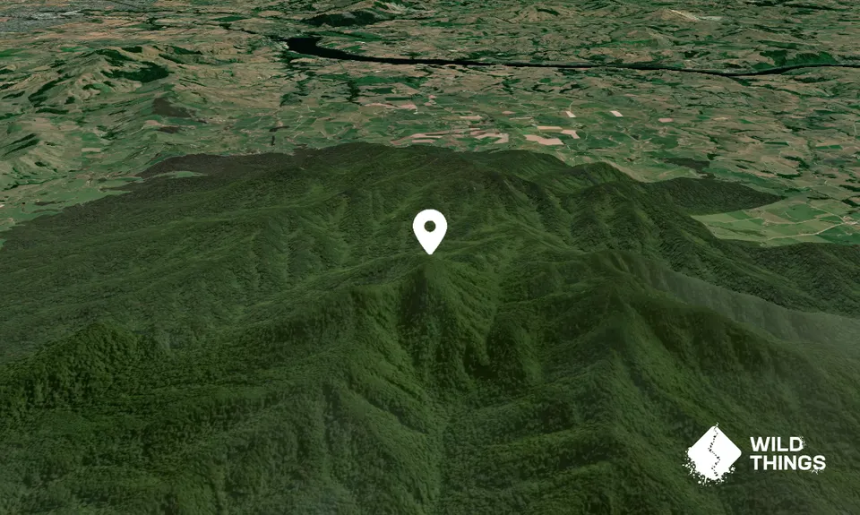 Pukeatua