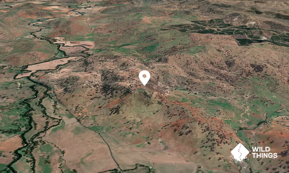 Mount Brae