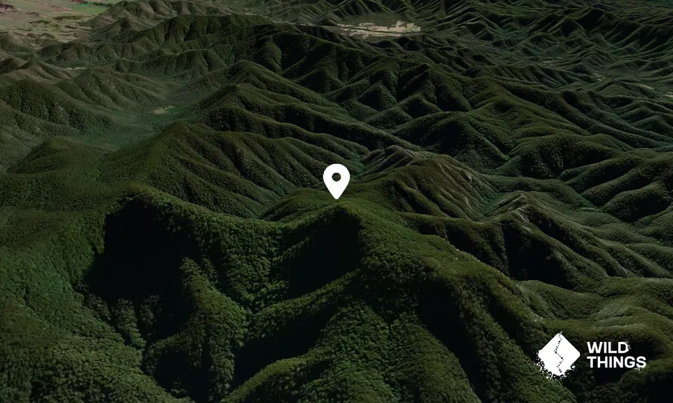 Mount Donovan