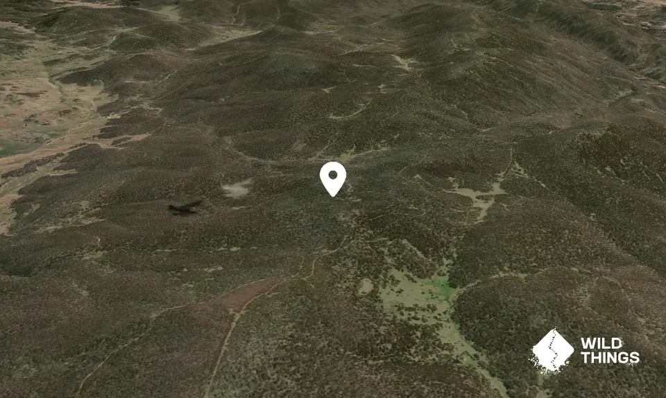 Mount Flinders