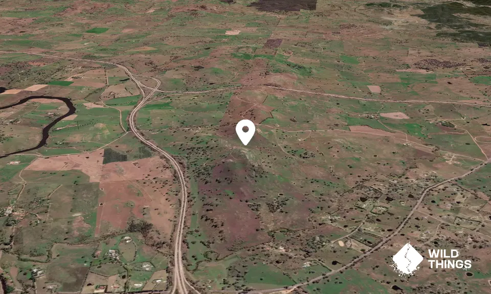 Mount Manton