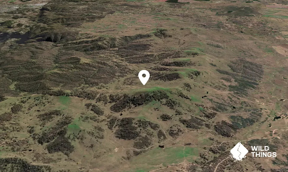 Mount Molonglo