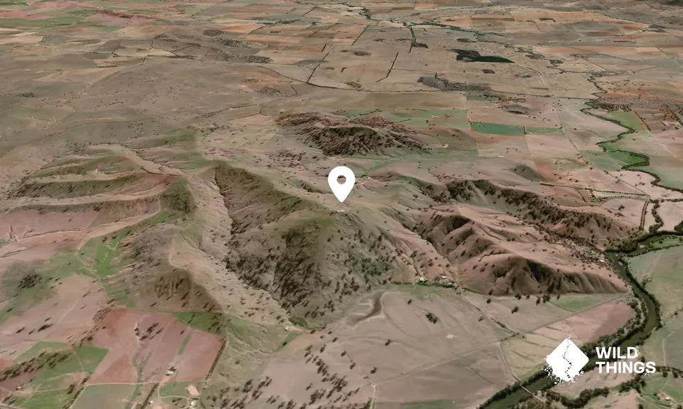 Mount Tenandra
