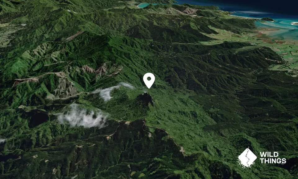 Motutere/Castle Rock
