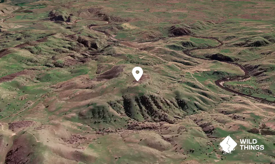 Nutter Hill