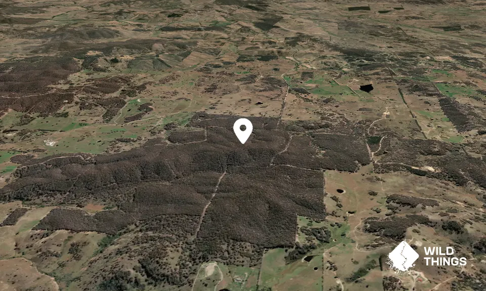 Piccaree Hill