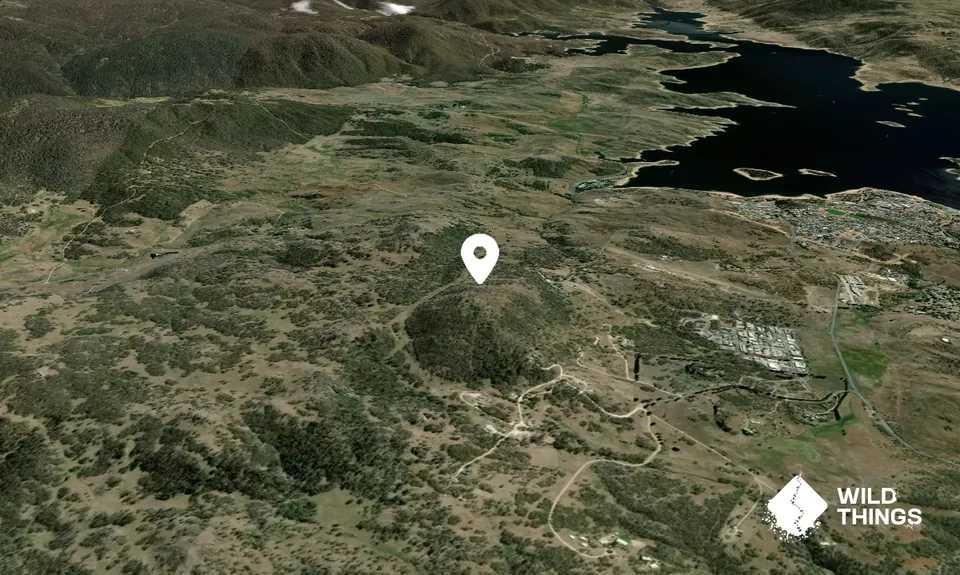 Round Hill