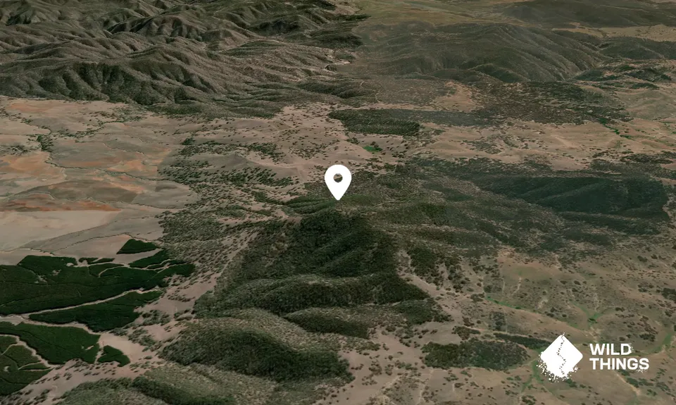 Round Hill
