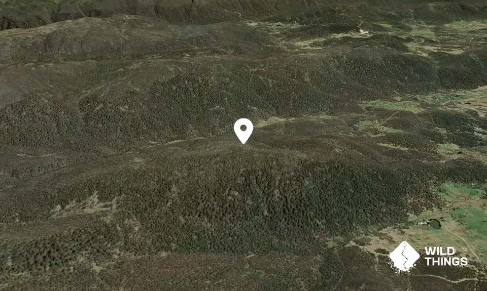 Round Mountain