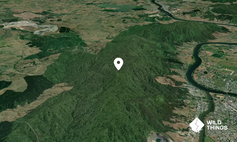 Hakarimata