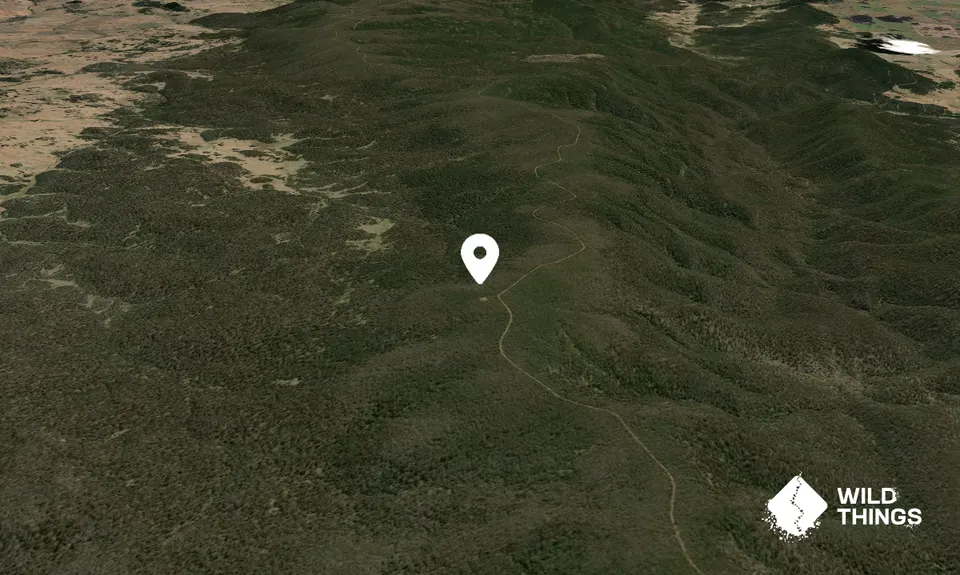 Bald Mountain