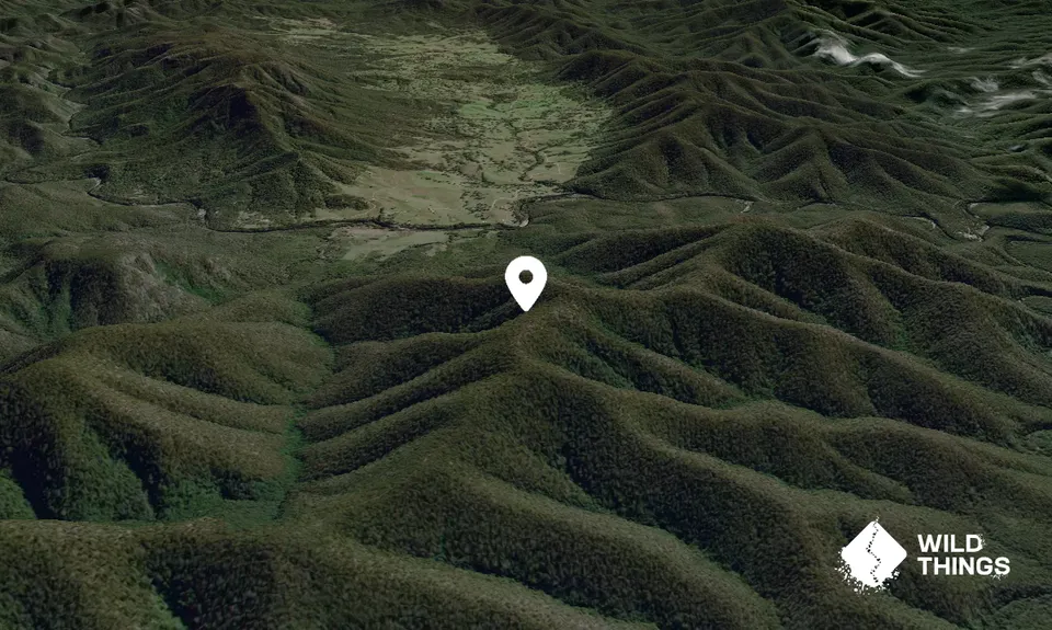 Barren Jumbo Mountain