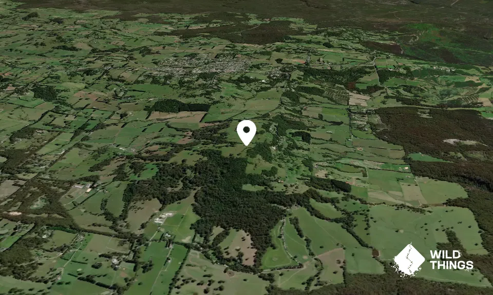 Bells Hill