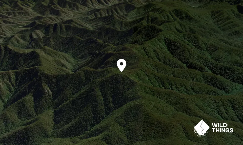 Bendethera Mountain