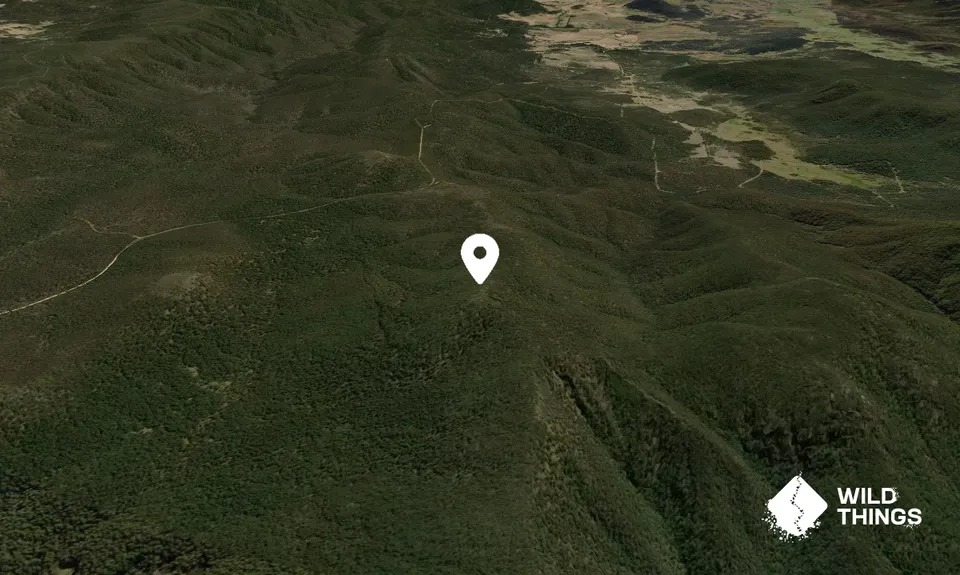Big Badja Hill