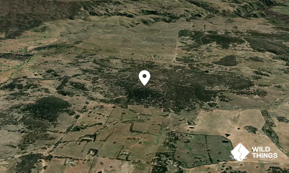 Big Hill