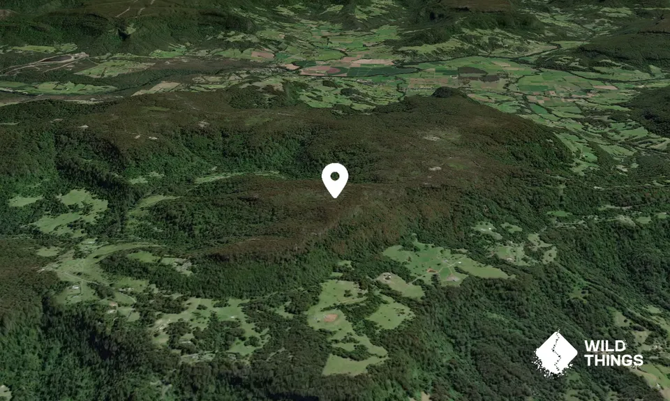 Browns Mountain