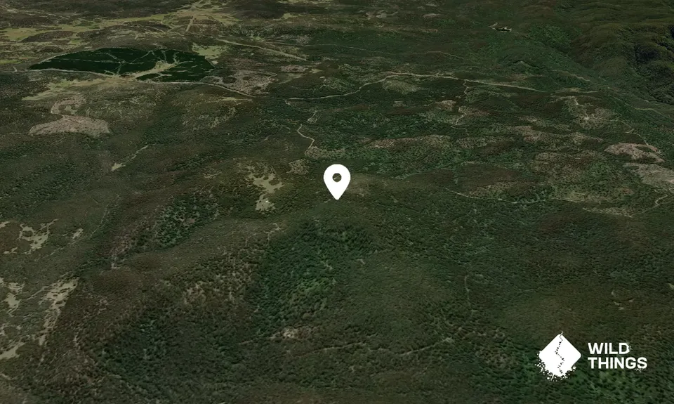 Bull Mountain