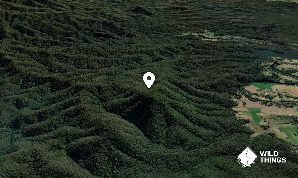 Comerang Mountain