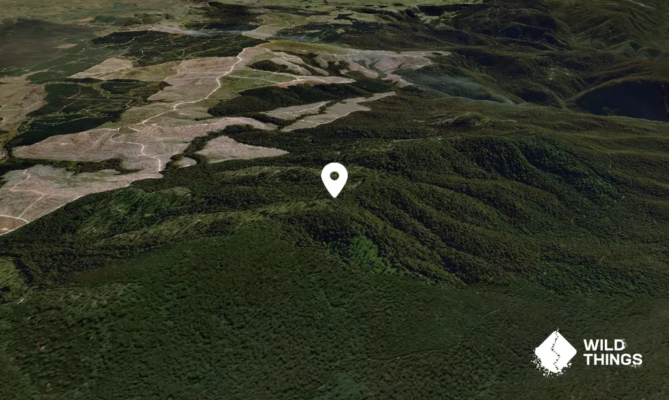 Coolangubra Mountain