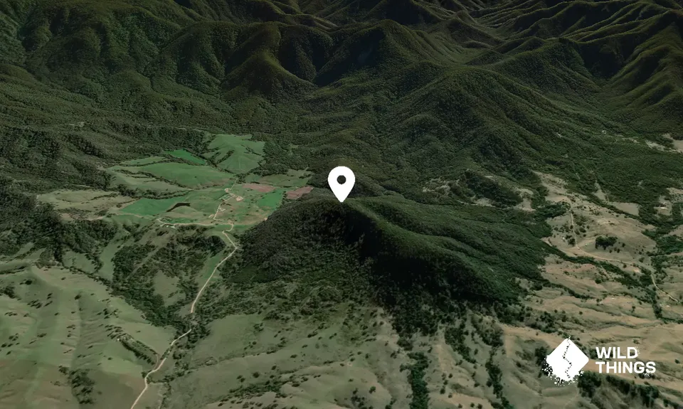 Little Brown Mountain